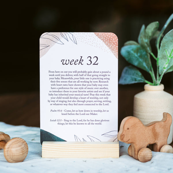 Pregnancy Prayer Cards |  Off-White