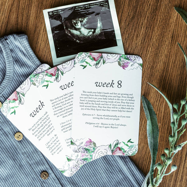 Pregnancy Prayer Cards |  Off-White