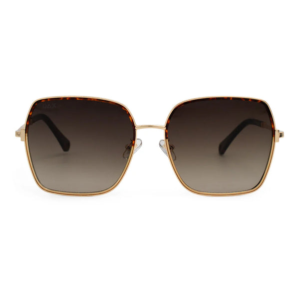 dax eyewear | sunglasses