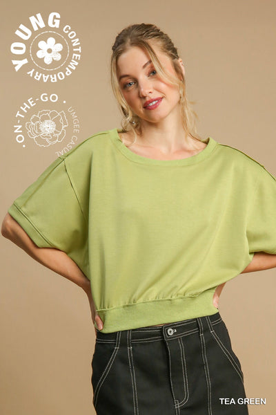 everything I want luxe knit top | tea green
