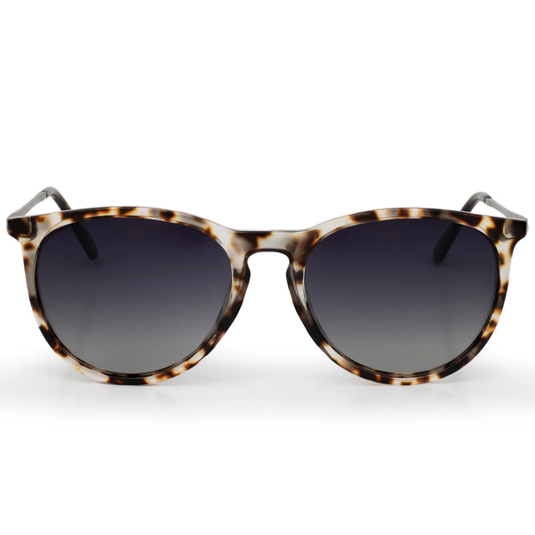 dax eyewear | sunglasses