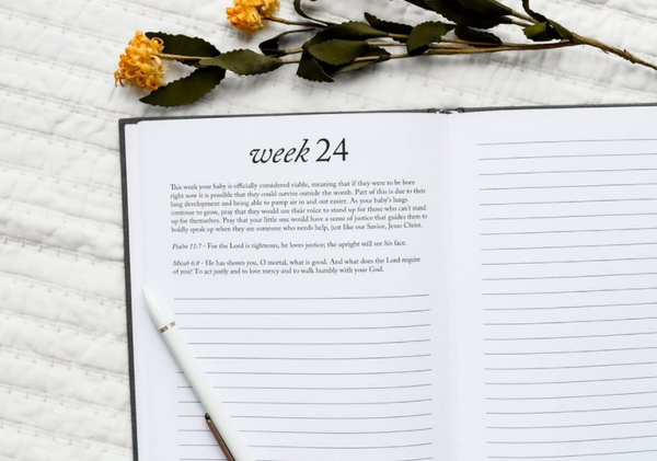 Dear Baby: Pregnancy Prayer Journal + Memory Book for Moms | Gray