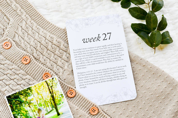 Pregnancy Prayer Cards | Multi