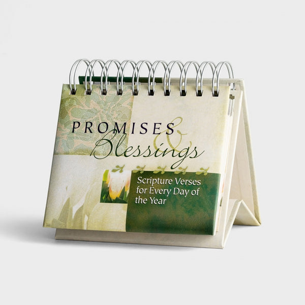 day brightener | promises + blessings