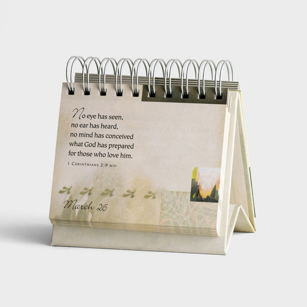 day brightener | promises + blessings