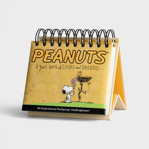 day brightener | peanuts